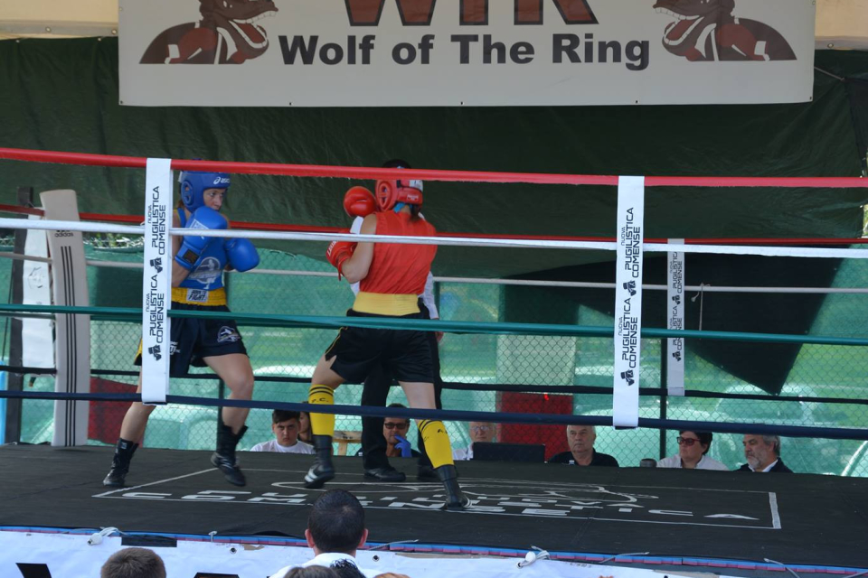 incontro di boxe firenze